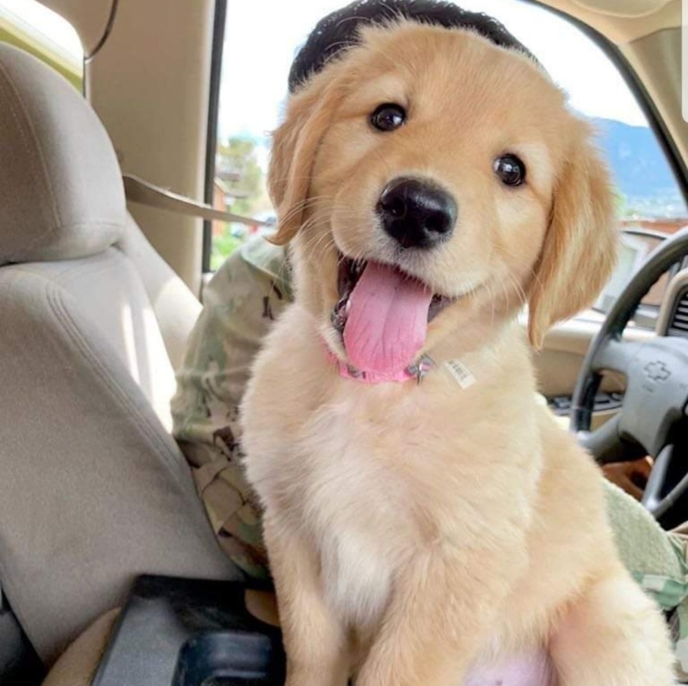 Meet your Posher, Mayra